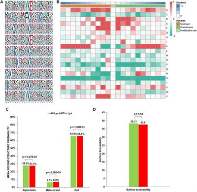 Global Proteomic Analysis of Lysine Crotonylation in the Plant Pathogen Botrytis cinerea